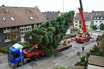 MD Security aan het werk MD Security, beveiliging Den Bosch